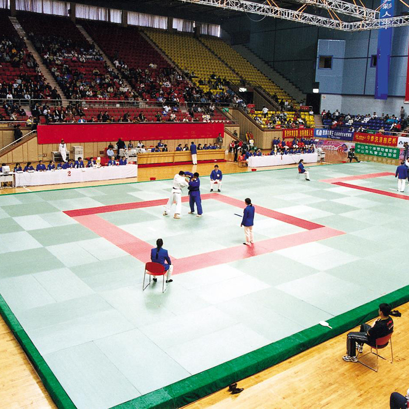Judo mats.jpg